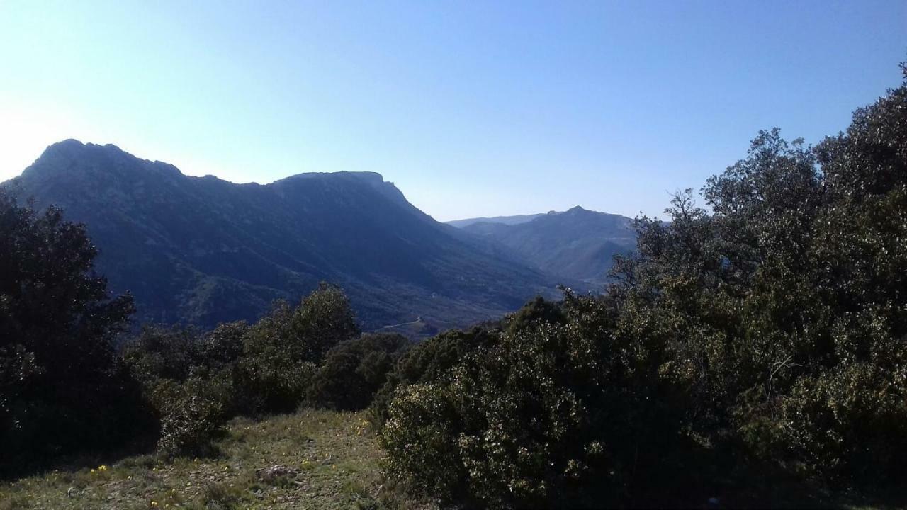 Le Gite De Cristal Proche Bugarach Granes Eksteriør billede